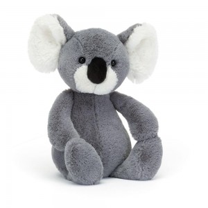 Džungle A Safari Jellycat Plyšáci Bashful Koala,31cm x 12cm x 9cm Šedé | RAZSQ-5961