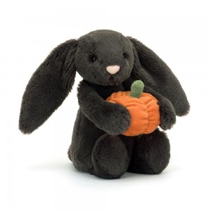 Králícči Jellycat Plyšáci Bashful Pumpkin,31cm x 12cm x 9cm Černé | YHJNS-8497