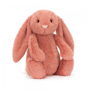 Králícči Jellycat Plyšáci Bashful Sorrel,31cm x 12cm x 9cm Oranžové | YSBUC-0429