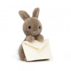 Králícči Jellycat Plyšáci Messenger,19cm x 12cm x 12cm Hnědé | UJWVZ-9702