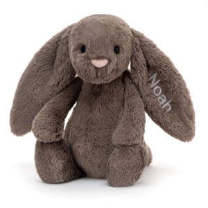 Králíček Jellycat Plyšáci Bashful Truffle Bunny Medium,31cm x 12cm x 9cm Hnědé | ZDMHV-0189
