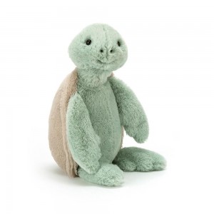 Oceán Jellycat Plyšáci Bashful Turtle,31cm x 12cm x 9cm Zelene | TXGCV-1367