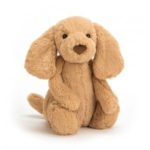 Pejsci Jellycat Plyšáci Bashful Toffee Puppy,12.2in x 4.7in x 3.5in Hnědé | IQYMU-3274