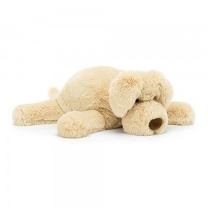 Pejsci Jellycat Plyšáci Wanderlust Puppy,7.1in x 4.7in x 14.2in Žluté | MRPSO-0218