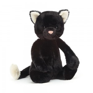 Pets Jellycat Plyšáci Bashful Kitten,31cm x 12cm x 9cm Černé | NCISE-6021