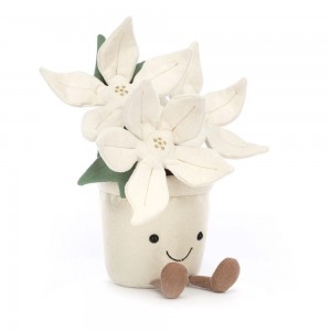 Rostliny Jellycat Plyšáci Amuseables Gold Poinsettia,25cm x 10cm x 10cm Bílé | DXZOP-4175