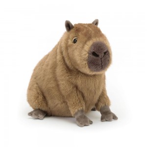 Woodland Jellycat Plyšáci Clyde Capybara,21cm x 17cm x 24cm Hnědé | IUVHD-0254