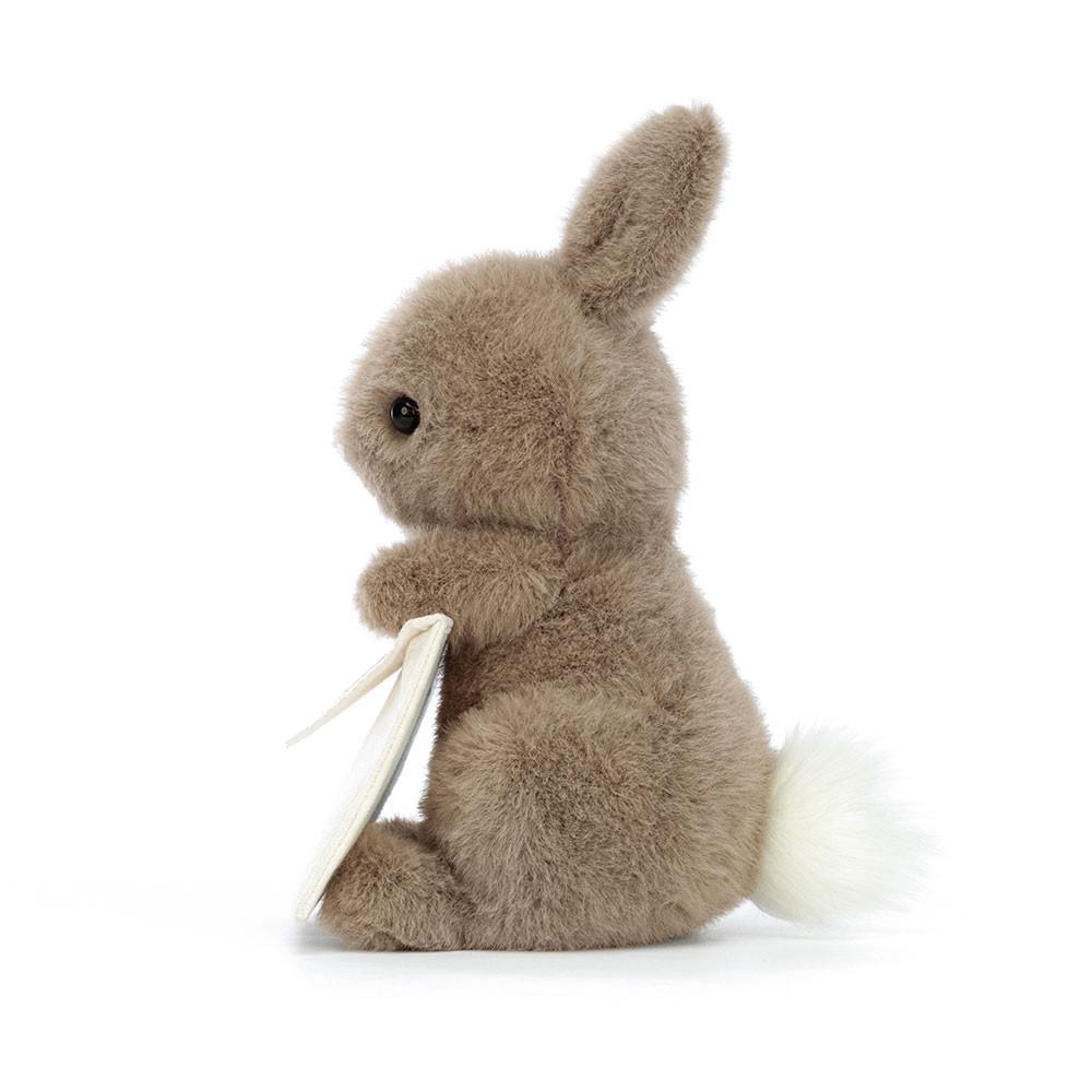 Králícči Jellycat Plyšáci Messenger,19cm x 12cm x 12cm Hnědé | UJWVZ-9702